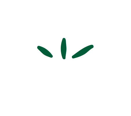 Monitoring and Evaluation